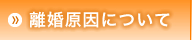 離婚原因について