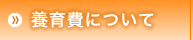 養育費について